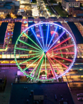 The St. Louis Wheel lit up at night.